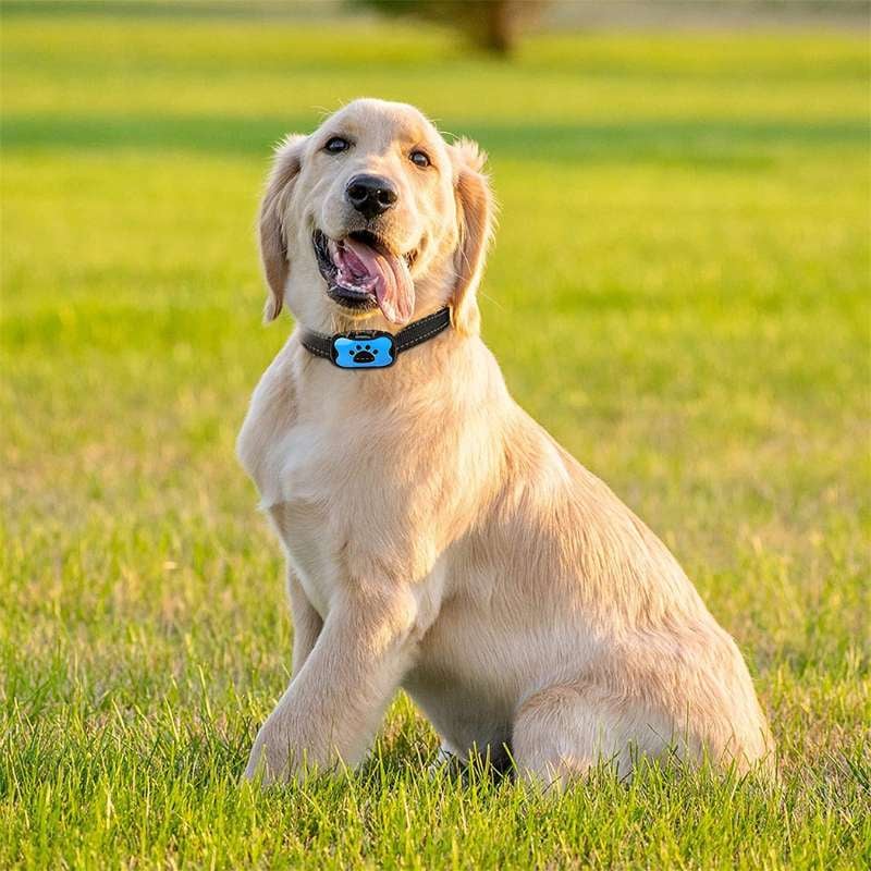 Maliben | Anti-Bark Collar