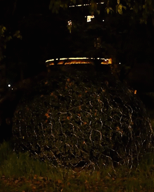 Maliben | Solar Fishing Net Light