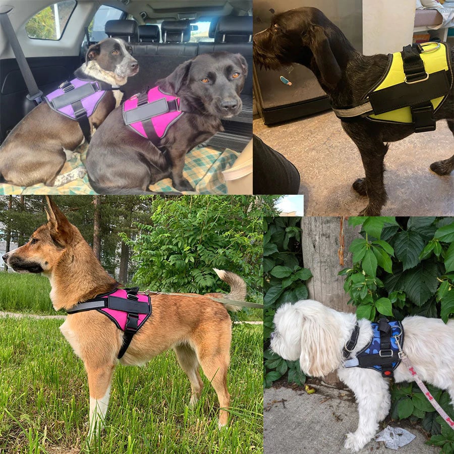 Maliben | Anti Choke Dog Harness