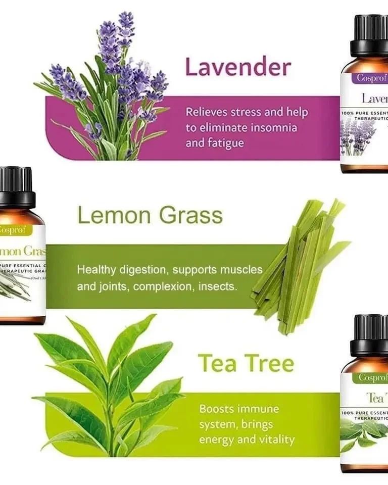 Maliben | Set Of 12 Pure Essential Oils Gift Set