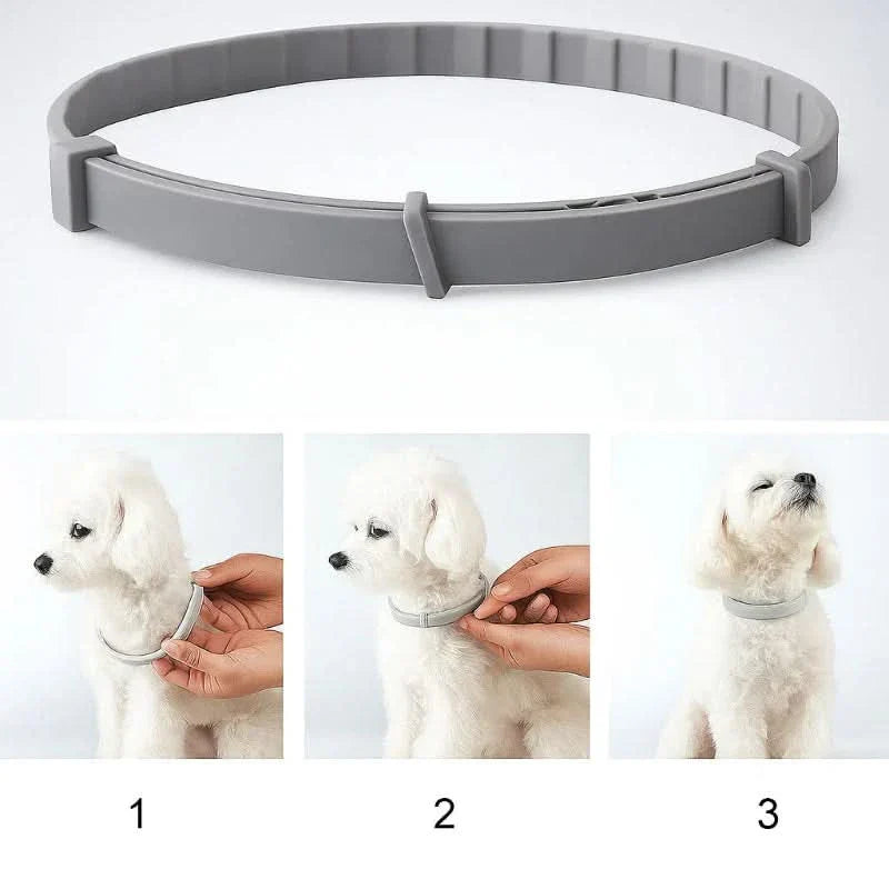 Maliben | FLASHIELD COLLAR – Herbal flea & tick protection collar for dogs & cats