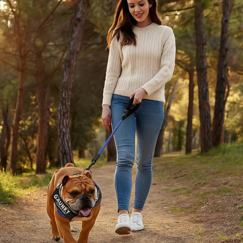 Maliben | Personalisable dog harness for comfort & safety