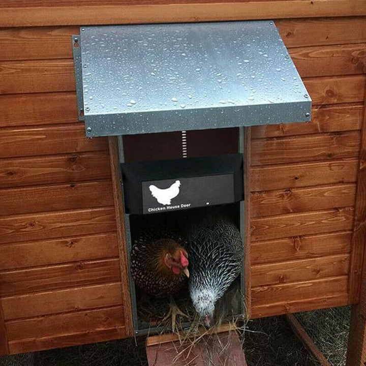 Maliben | Automatic Chicken Coop Door System - Safecoop