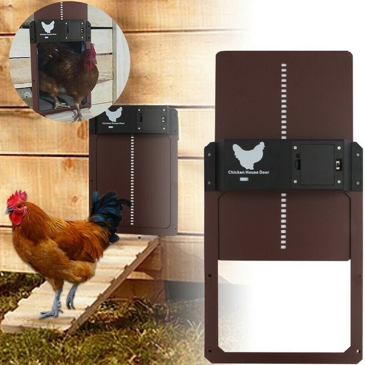 Maliben | Automatic Chicken Coop Door System - Safecoop