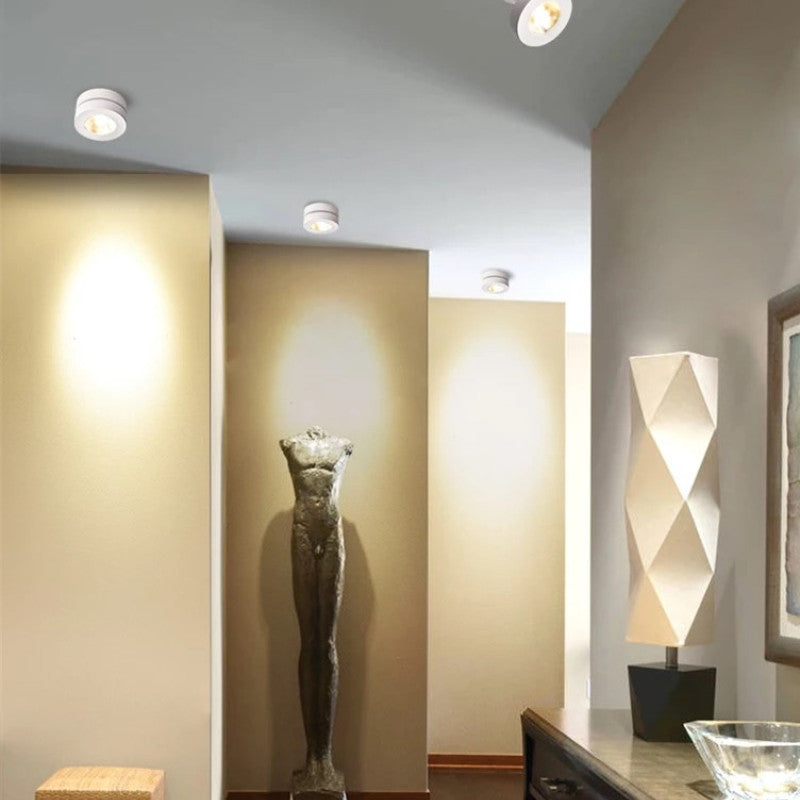 Maliben | Industrial Geometric Metal Ceiling Spot