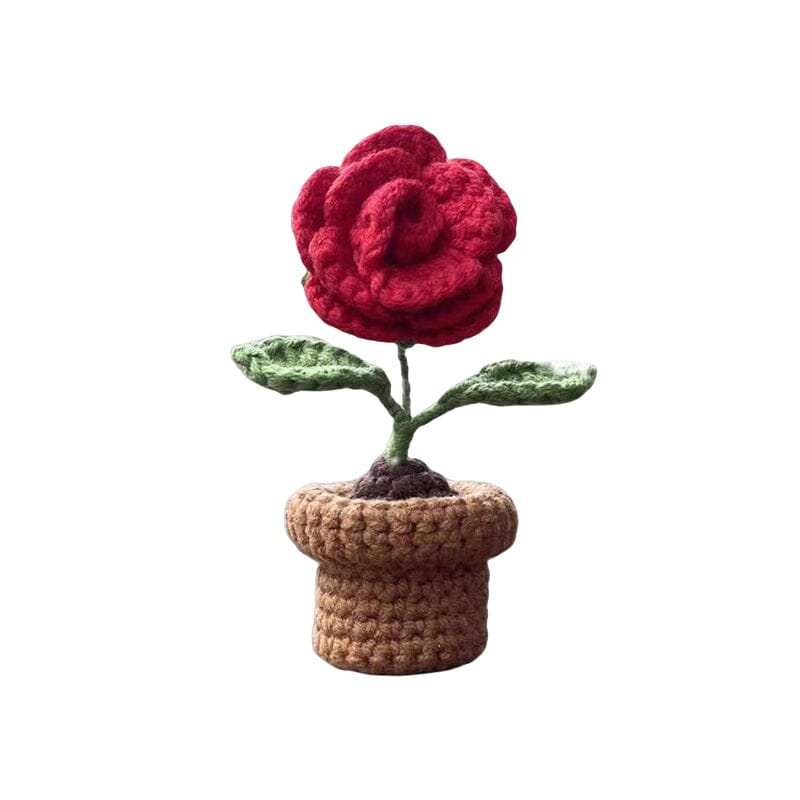 Maliben | Handmade Knitted Flowers