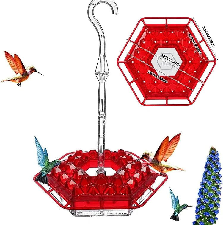 MAliben | Kolibrikracher — Create a Vibrant Bird Paradise Right In Your Garden!