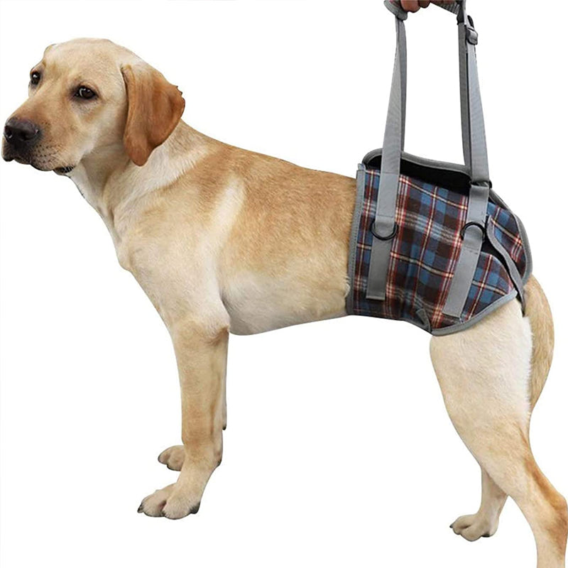 Maliben | Orthopedic Rear Leg Support Harness for Dogs – Ideal for Arthritis, Hip Dysplasia & Mobility Aid