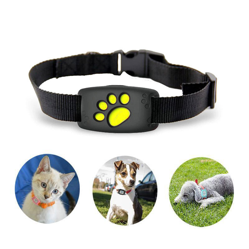 Maliben | Pet GPS Tracker CollarCat – No Subscription and Waterproof