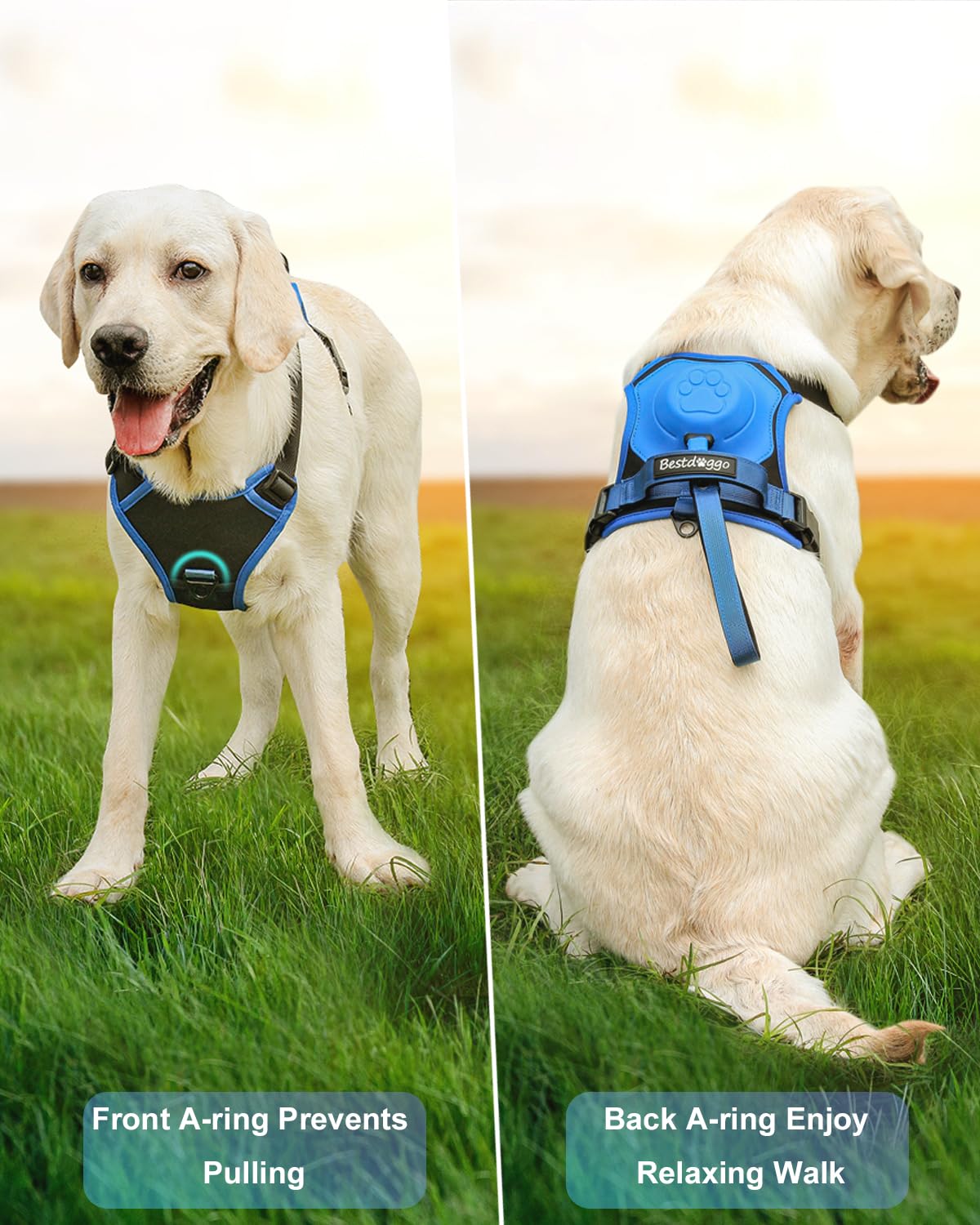 Maliben | mamymarket™ - Dog Harness and Retractable Leash Set All-in-One