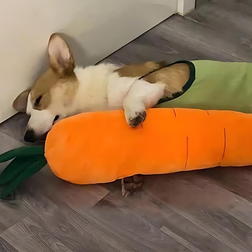 Carrotplush • Interactive Dog Chew Toy