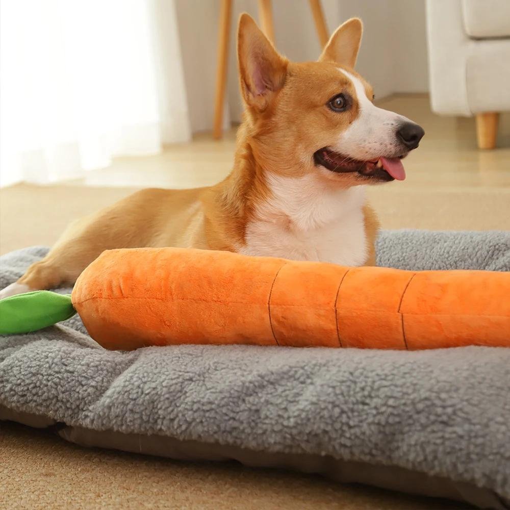Carrotplush • Interactive Dog Chew Toy