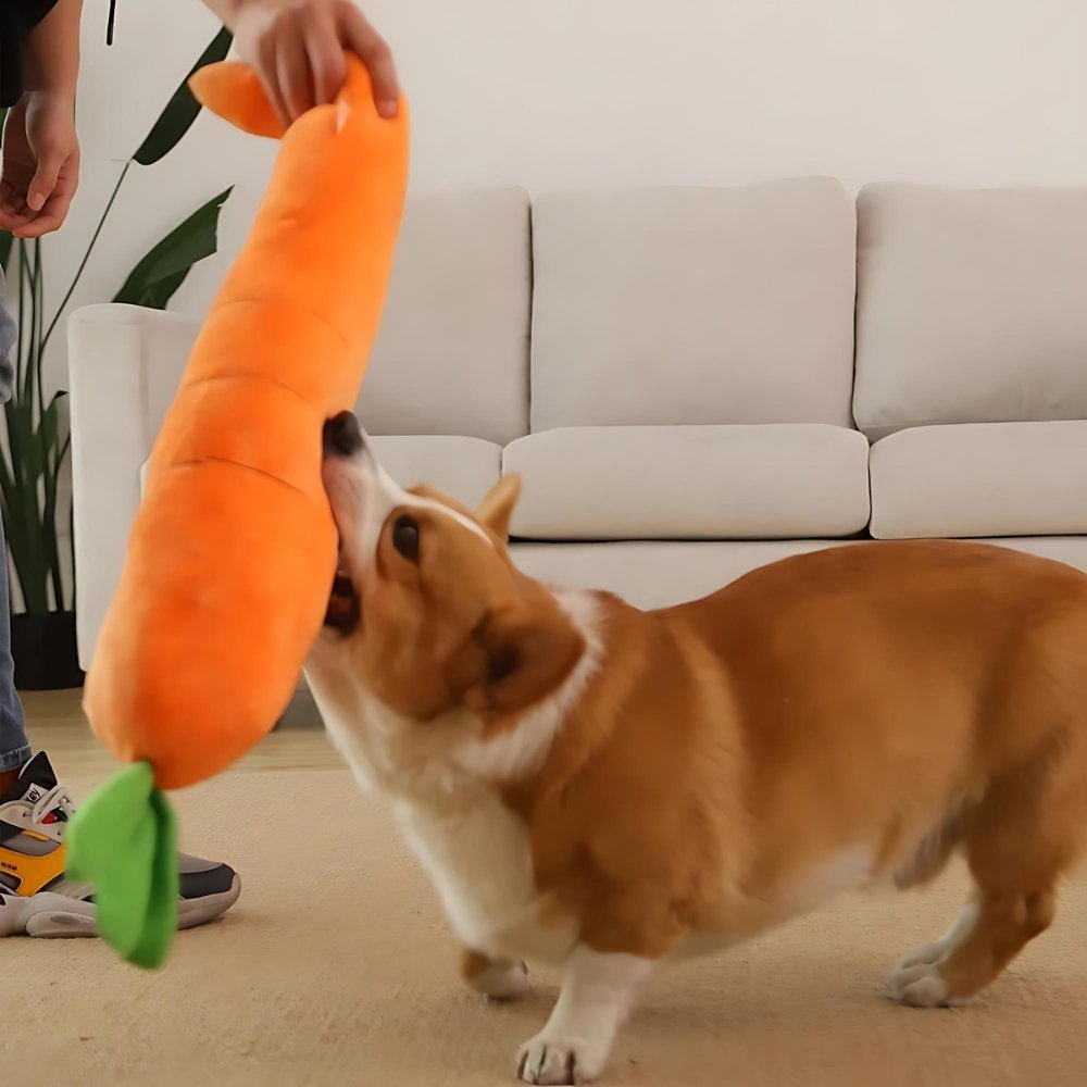 Carrotplush • Interactive Dog Chew Toy