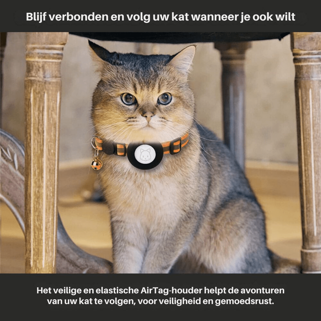Maliben | CATSAFE TRACK – GPS tracker collar for safety & visibility in cats