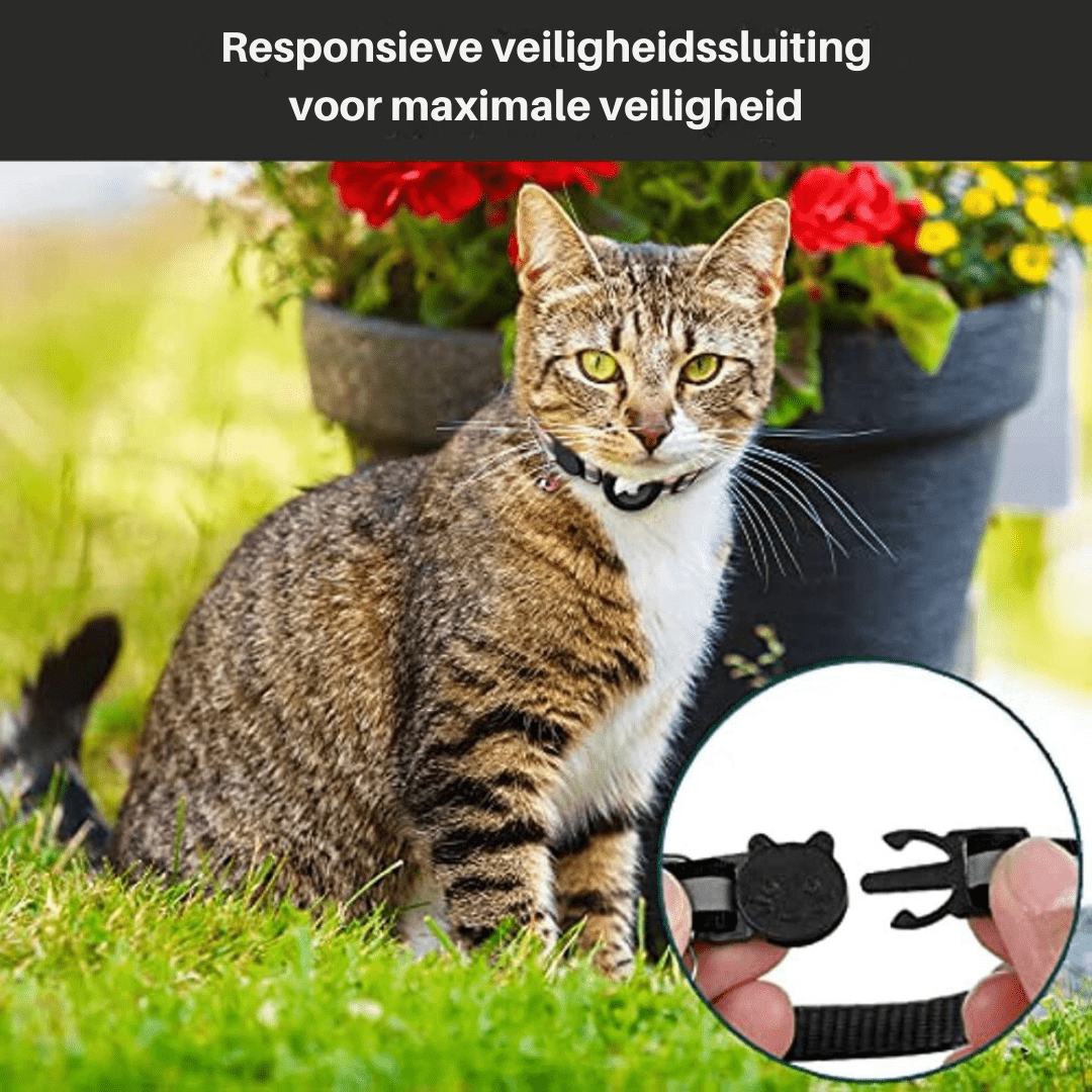 Maliben | CATSAFE TRACK – GPS tracker collar for safety & visibility in cats