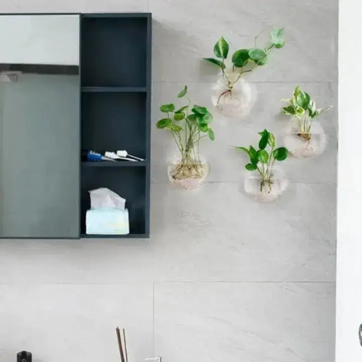 MAliben | WonderglAss — Give Your Walls a Fresh Kick For a Vibrant Home Without Effort