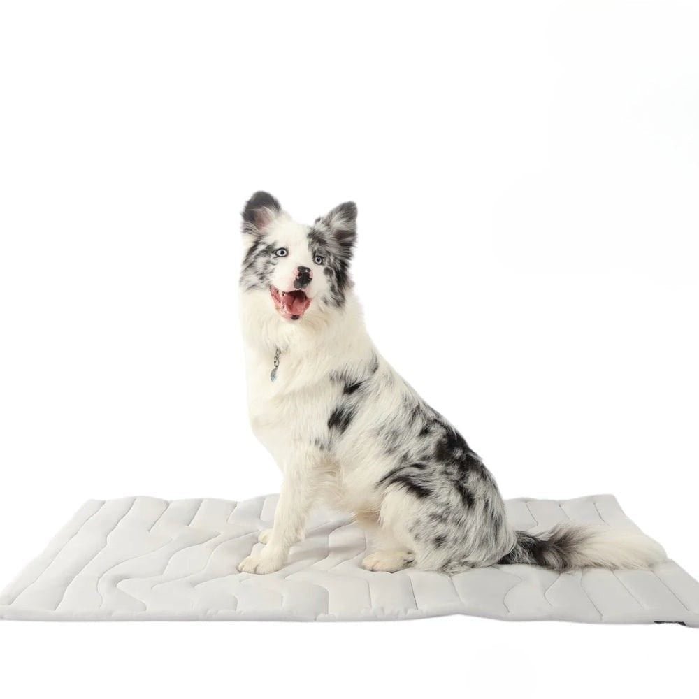 Maliben | CoolPaws Cooling Mat – Self-Cooling Dog Mat for Hot Summer Relief