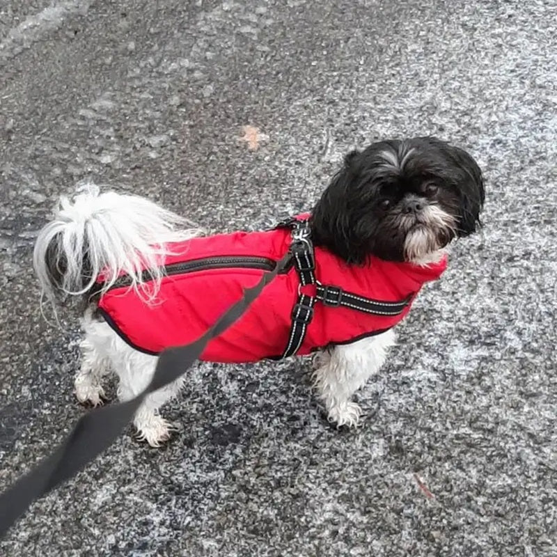 Maliben Waterproof Dog Jacket for Winter with Reflective Built-In Harness