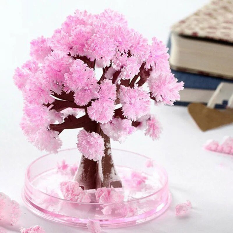 Maliben | Make Your Garden Bloom - Grow Your Sakura Tree!