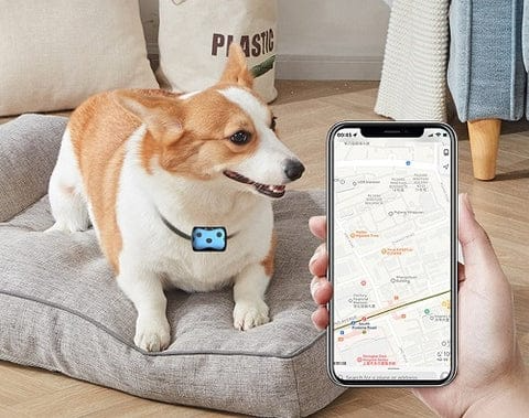 Maliben | GPS Tracker for Dogs Location Collar