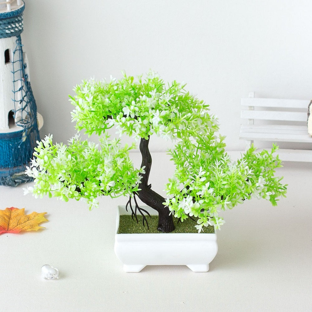 Maliben | Plant Bonsai