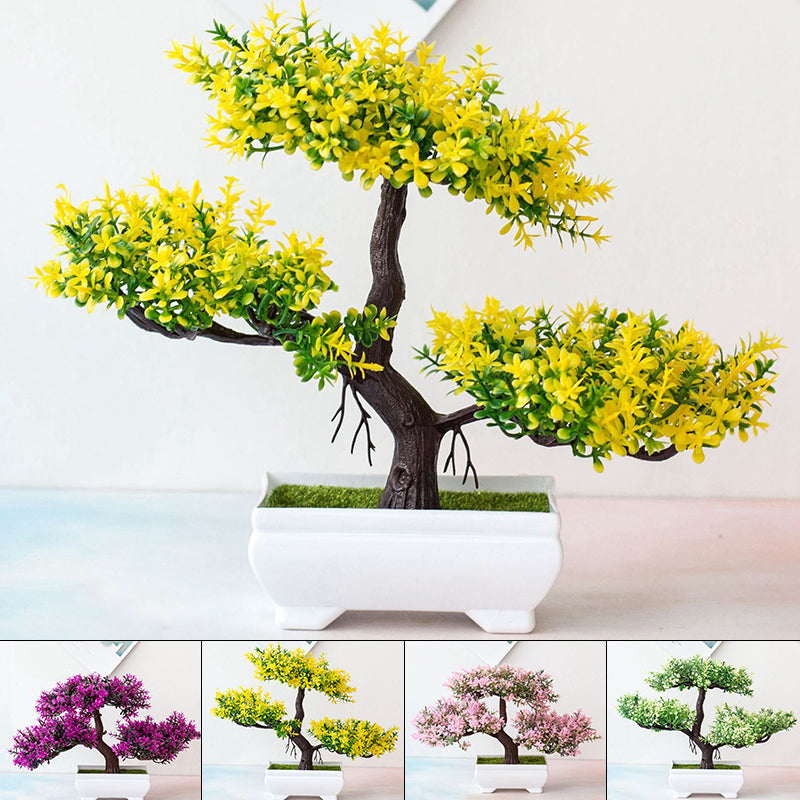 Maliben | Plant Bonsai