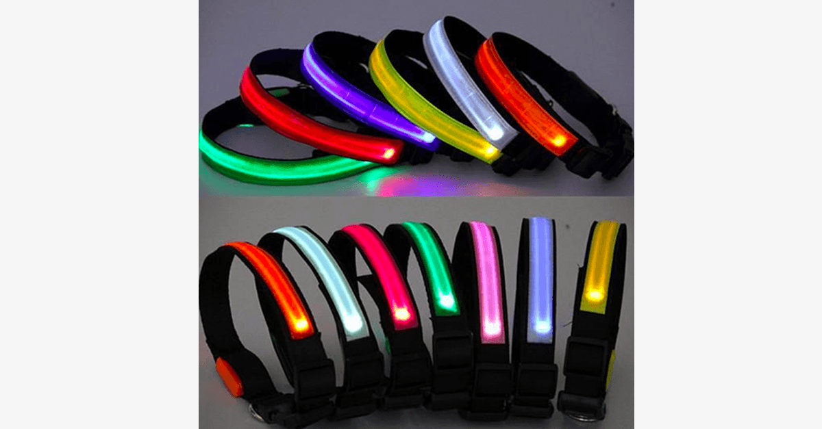 Maliben | LED Dog Collar – Keep an eye on your pet!