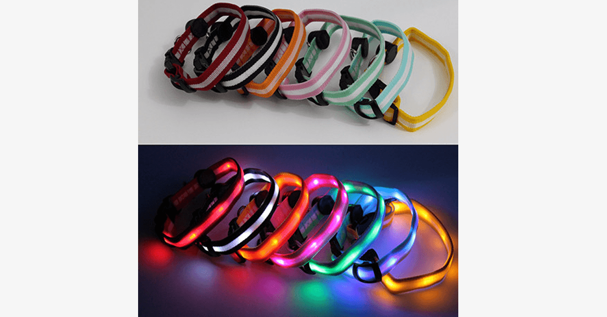 Maliben | LED Dog Collar – Keep an eye on your pet!