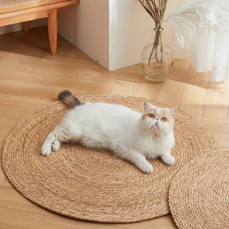 Maliben | Krazeluxe Matte — Finally Peace From Scratching Chaos And The Favorite Spot For Your Cat