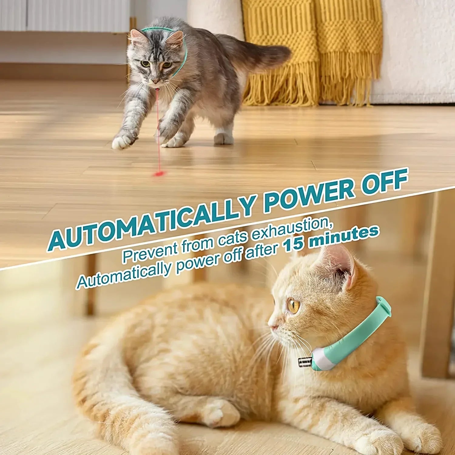 Maliben | PurrCollar™ Engaging Cat Activity