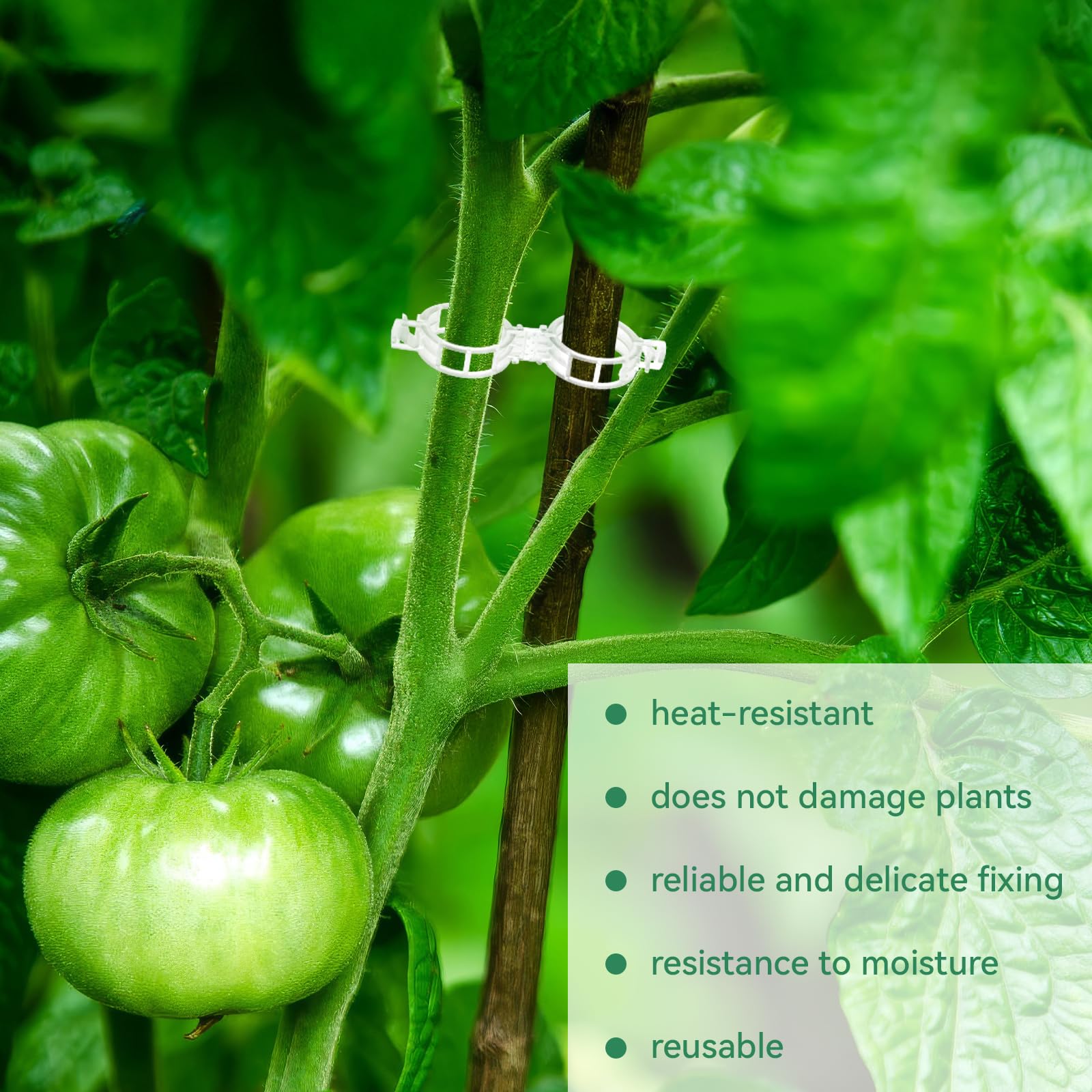Maliben | Tomato Clips, Plastic Trellis Clips