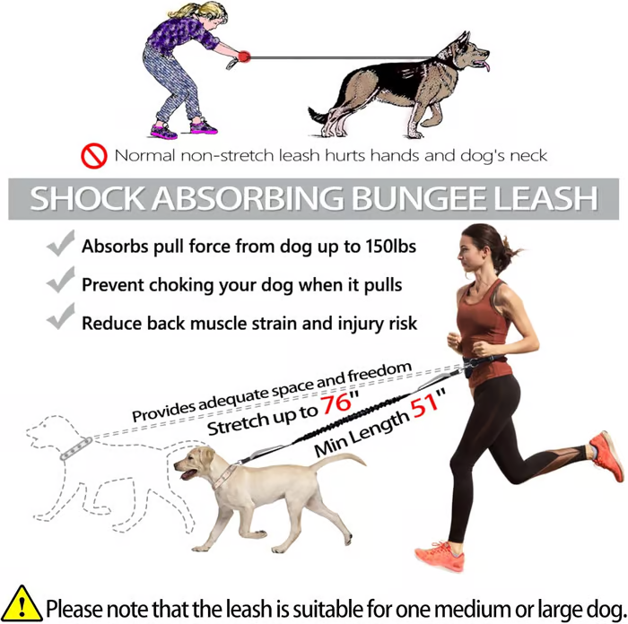 Maliben | PawsFree Pro – Enjoy Stress-free Walks With Your Dog