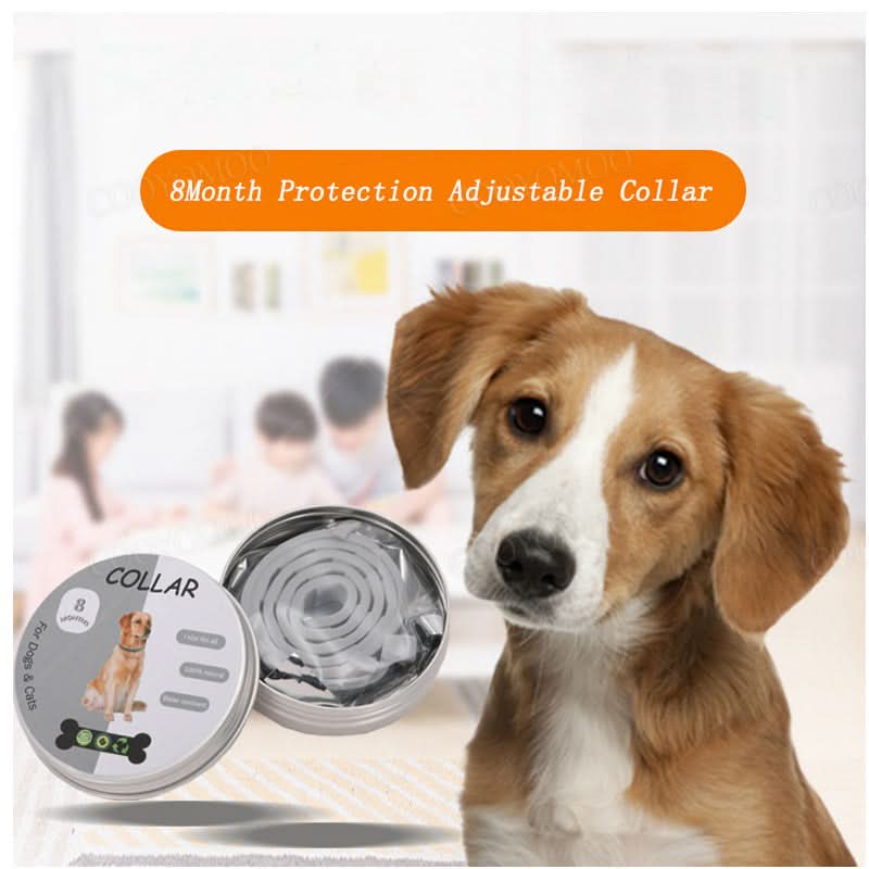 Maliben | PAWTECT - Anti-tick and flea collar
