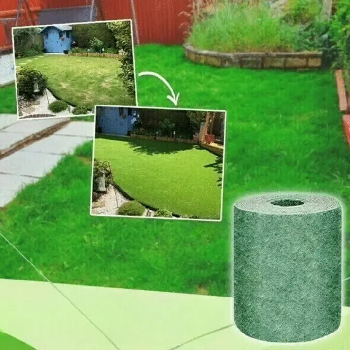MAliben | Grassgrow — Transforms Your Garden Into a Lush Green That Captivates All Eyes