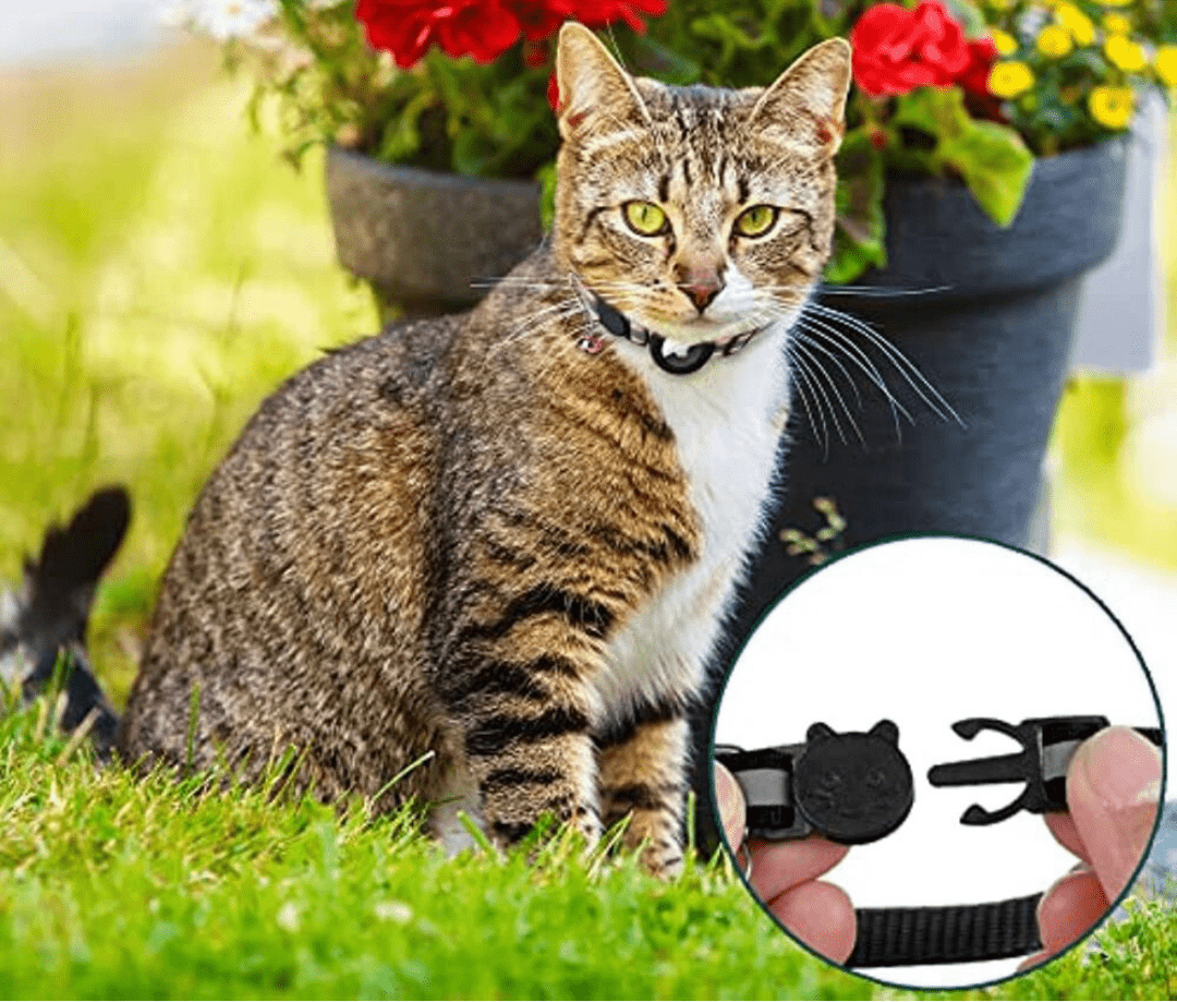 Maliben | FELITRACK – Cat GPS Tracker Collar with Reflective Design