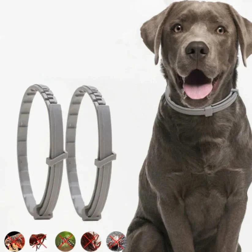 Maliben | Flea & Tick Protection Collar for Dogs & Cats