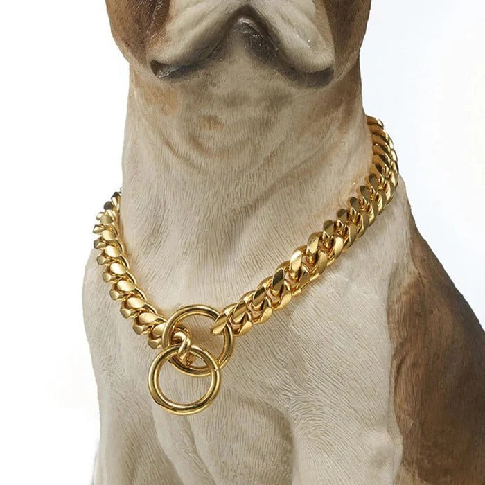 Maliben | Heavy Duty Dog Collar
