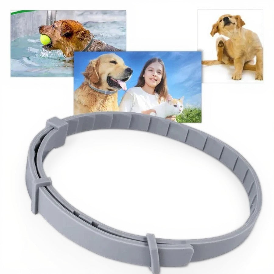 Maliben | Adjustable Pet Flea and Tick Repellent Collar – For Dogs and Cats, Water-Resistant