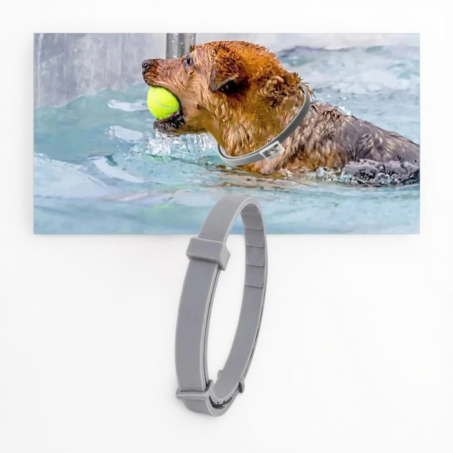 Maliben | Adjustable Pet Flea and Tick Repellent Collar – For Dogs and Cats, Water-Resistant