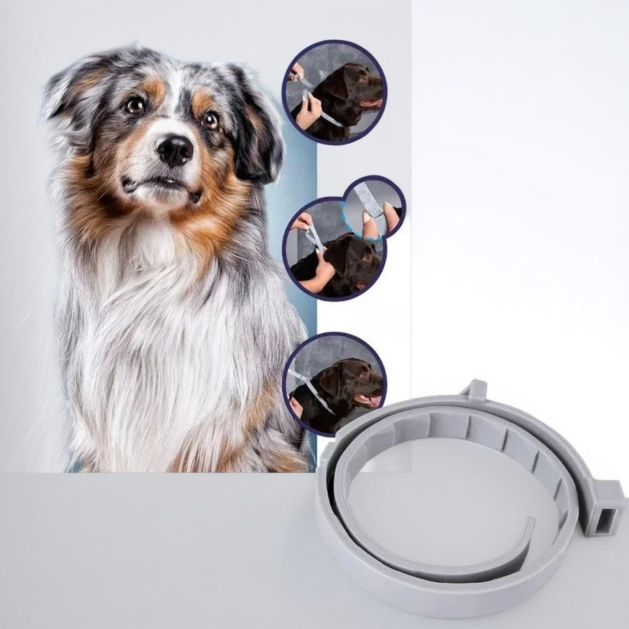 Maliben | Adjustable Pet Flea and Tick Repellent Collar – For Dogs and Cats, Water-Resistant