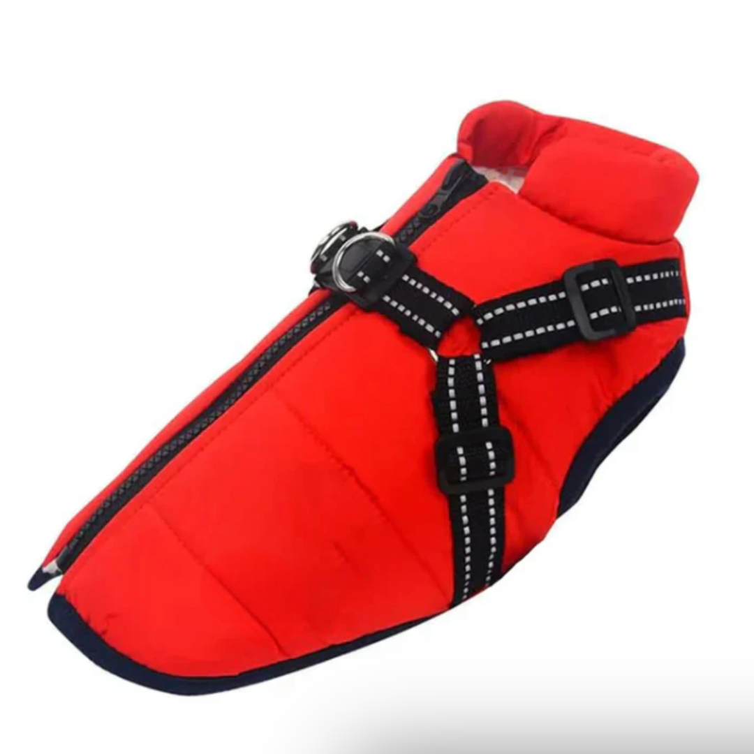 Maliben | Dog Coat Harness Winter Walks