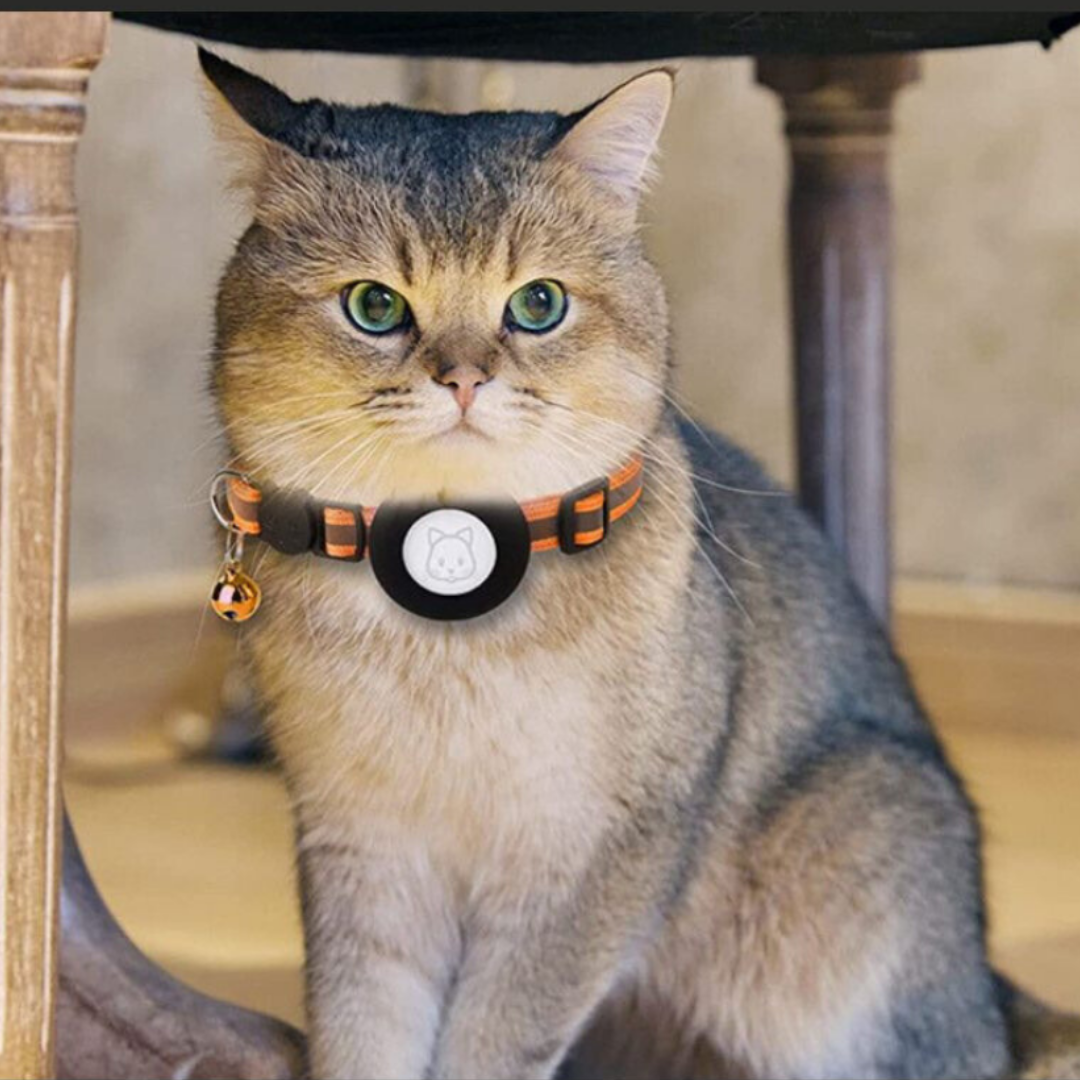 Maliben | Cat Collar With Bell And GPS Tracker Holder