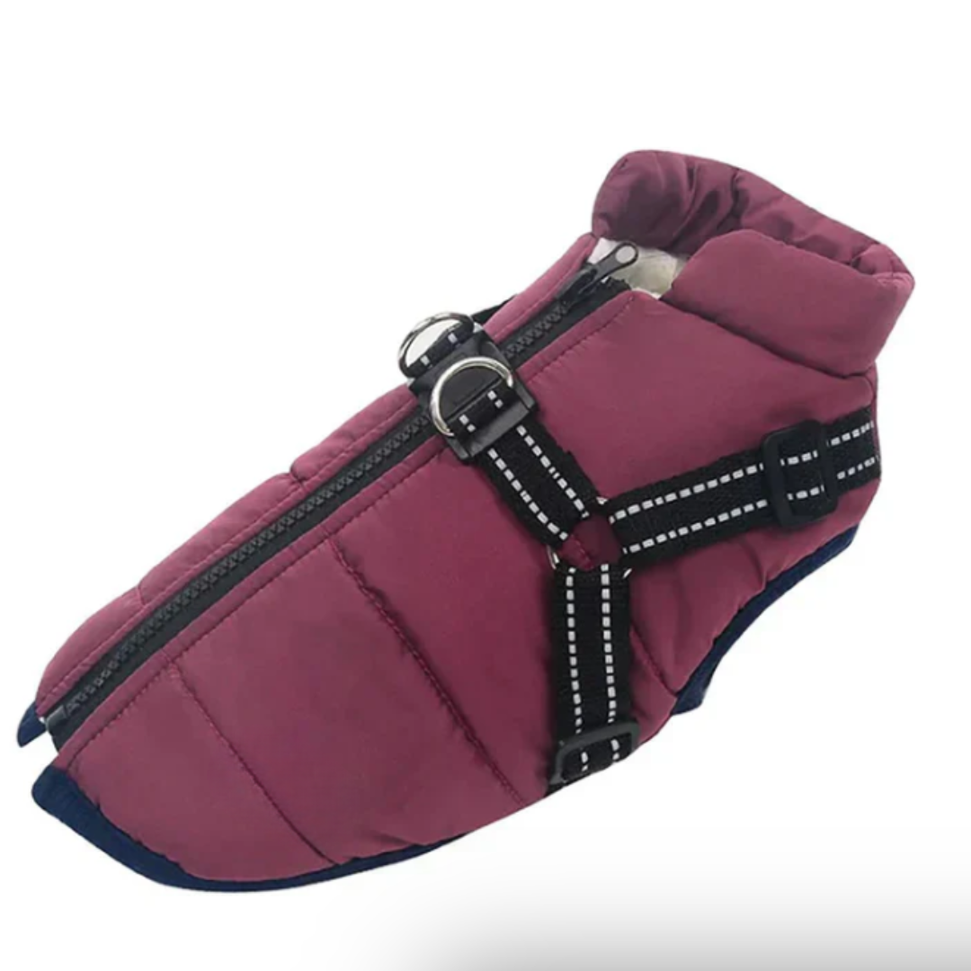 Maliben | Dog Coat Harness Winter Walks