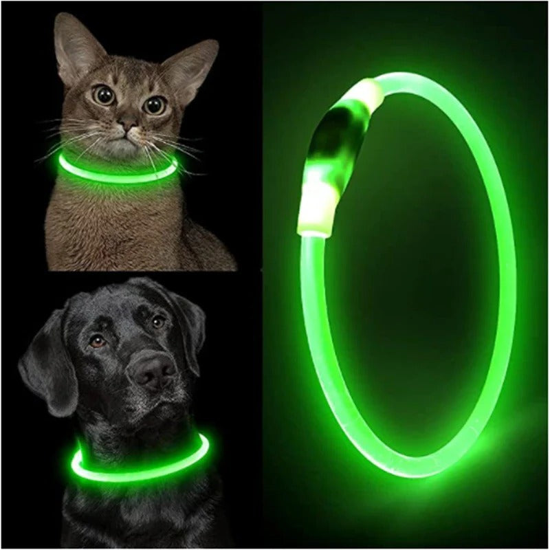 Maliben | Light Up Dog Collar, USB Rechargeable LED Glowing Collar