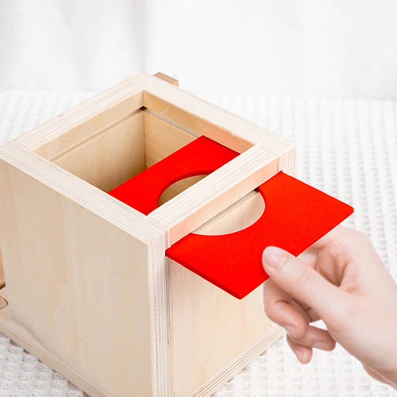 Maliben | Montessori Wooden Play Box: Tasks & Solutions Set