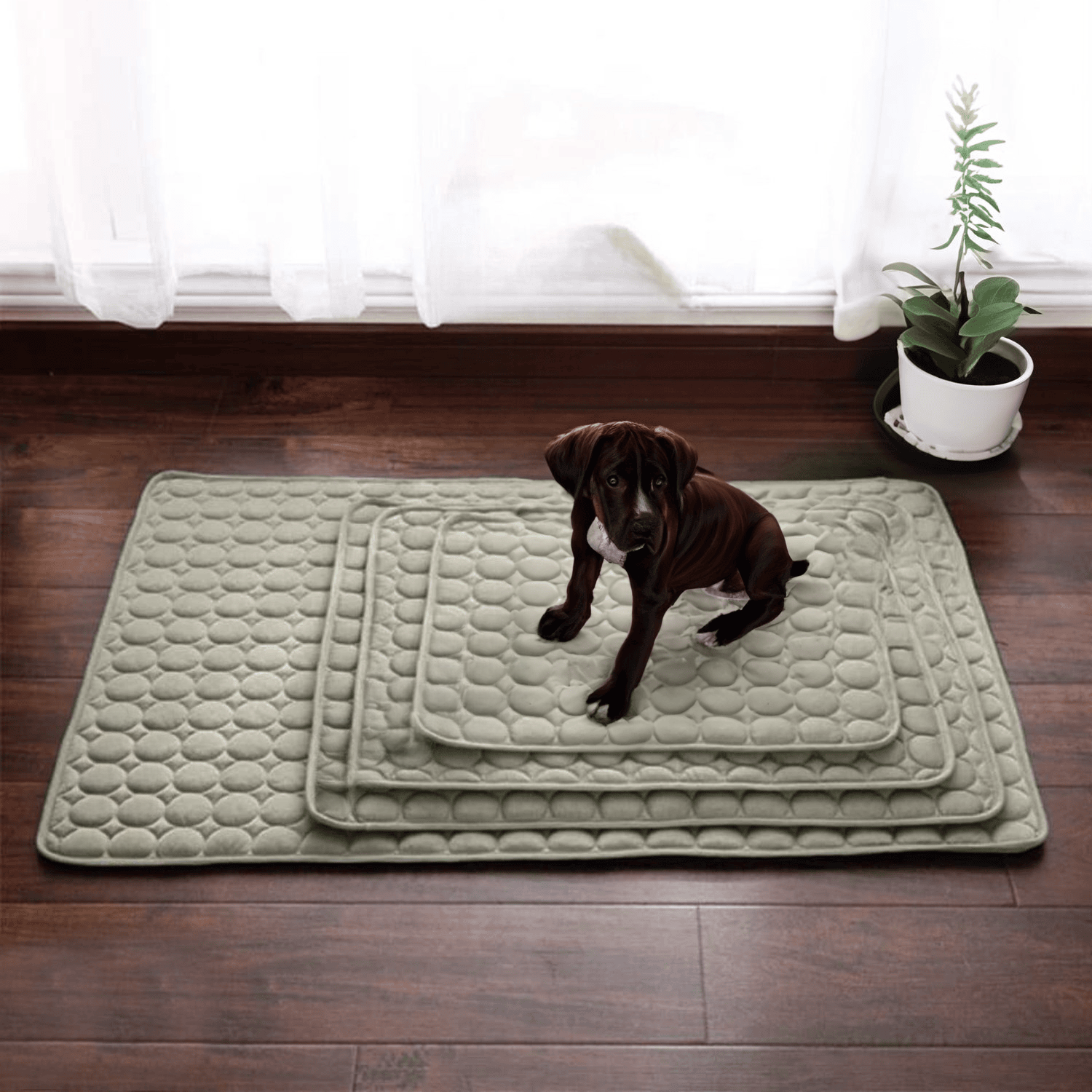 Maliben | Innovative Cooling Mat for Dogs (4x Cooling Power) - ChillComfort
