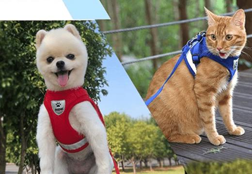 Maliben | Escape-proof cat harness with reflective details