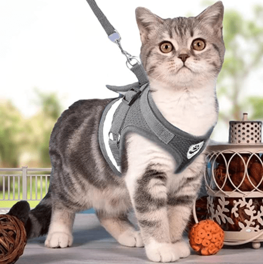 Maliben | ADVENTURE HARNESS – Escape-proof cat harness with leash & reflective elements