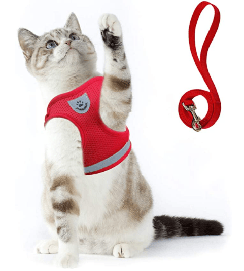 Maliben | Escape-proof cat harness with reflective details