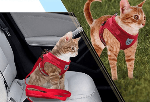 Maliben | ADVENTURE HARNESS – Escape-proof cat harness with leash & reflective elements